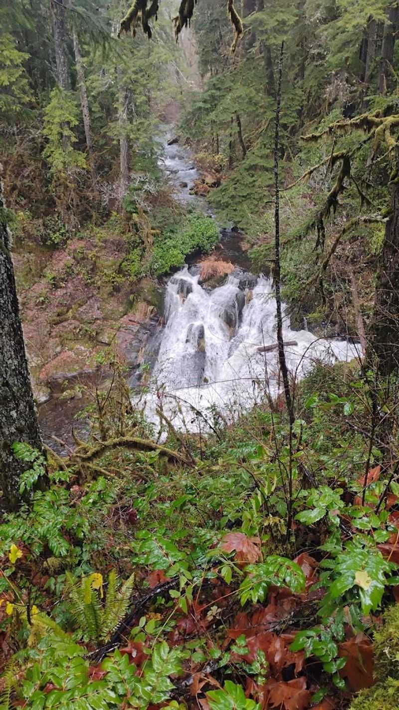 The Best Time of Year to Visit