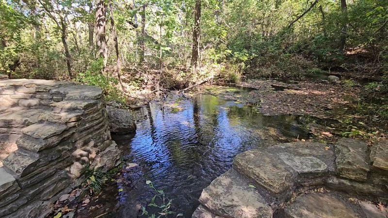 Wildlife Shows Up When You Least Expect It