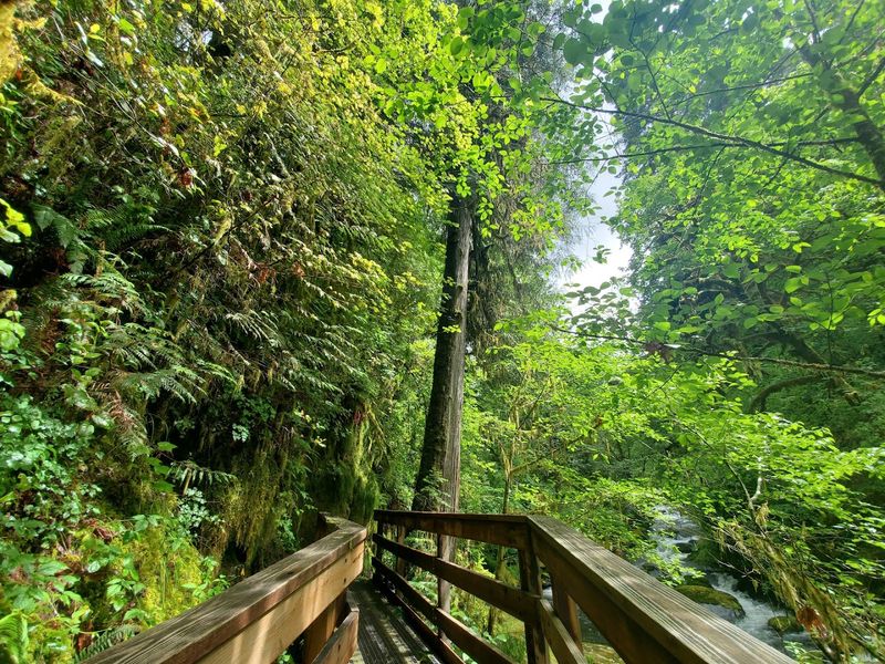 Getting There: The Drive Along Sweet Creek Road