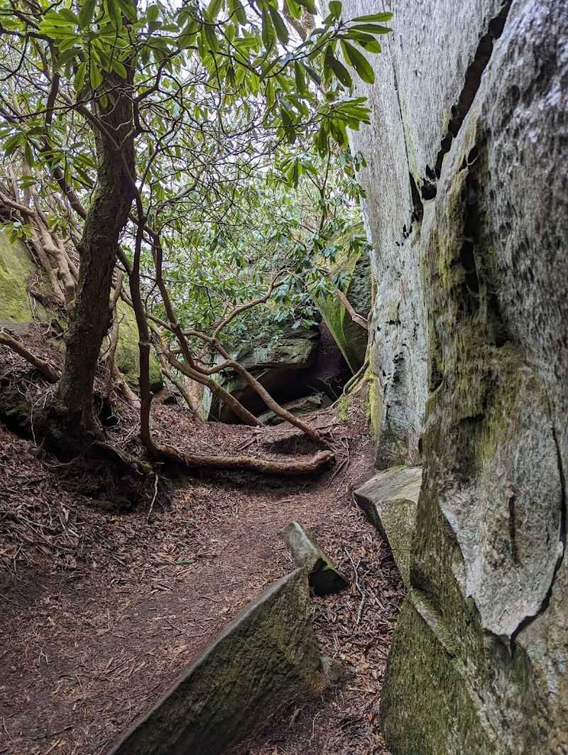 Middle Knob Summit and the 360-Degree Payoff