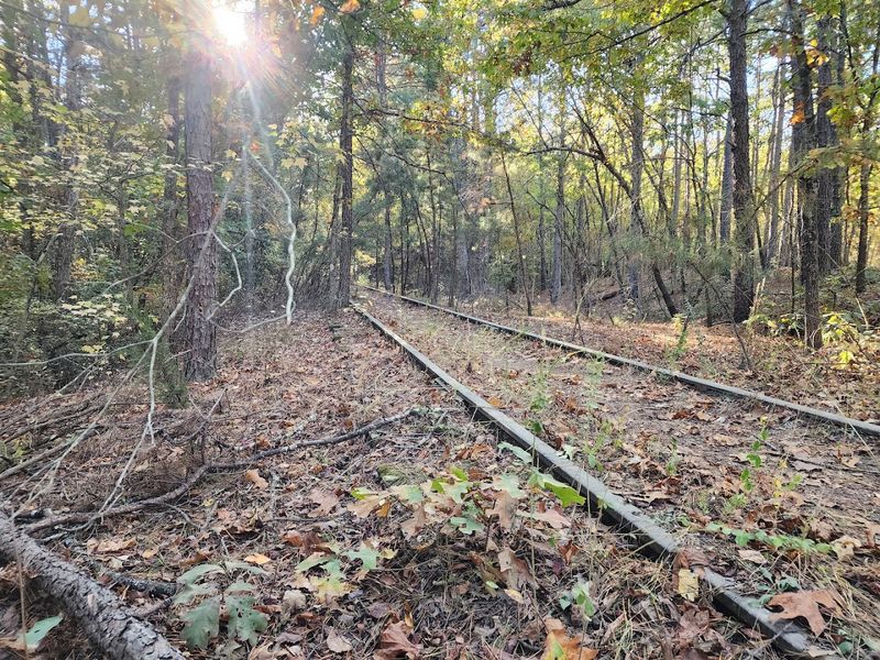 The Abandoned Railroad Bed: Tracks Lost to Time