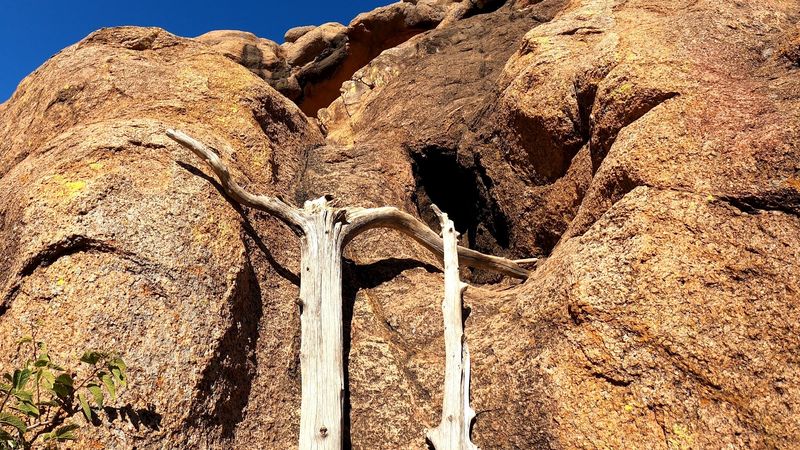 The Atmosphere Feels Ancient And Untamed