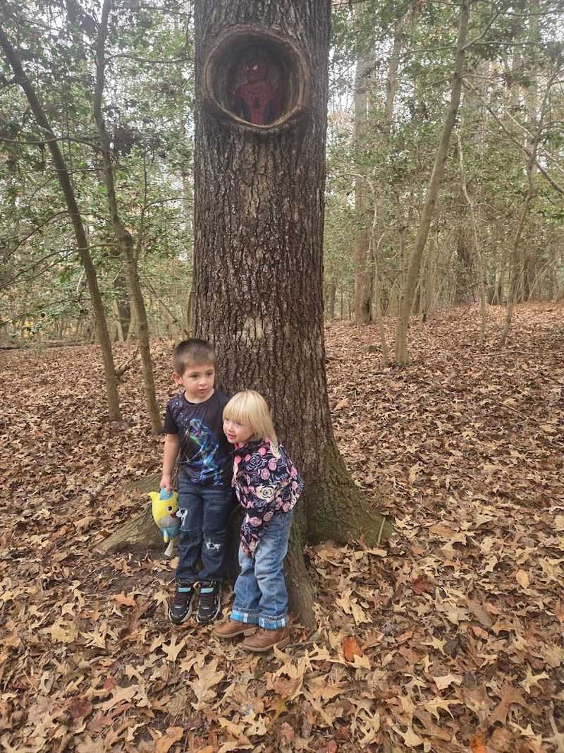 Why Families Absolutely Love This Place