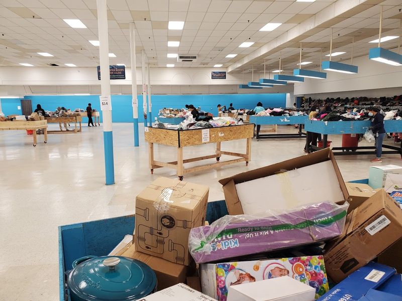 Why Timing Your Visit Changes Everything