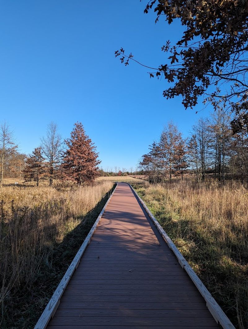 The Hiking Trails: Ten Miles of Pure Outdoor Therapy