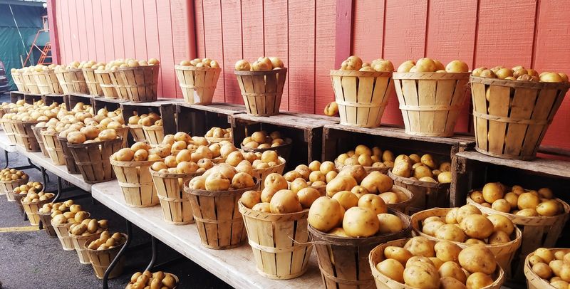 The Early Morning Experience That Changes Everything