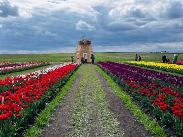 Iowa Springtime The Tulip-Filled Countryside In Iowa That Turns Into A Colorful Escape ...