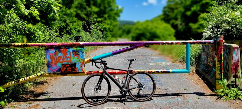Graffiti, Cracks, And Overgrowth That Changed The Road’s Whole Personality