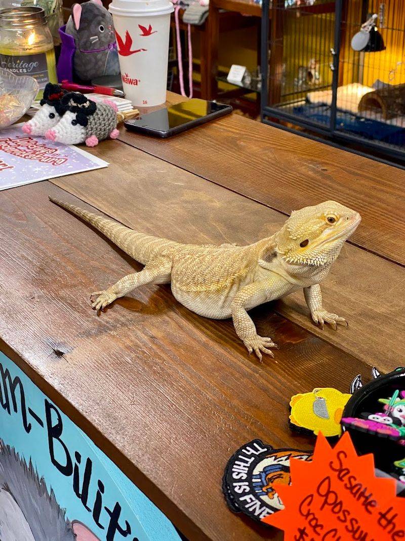 Educational Workshops And Events