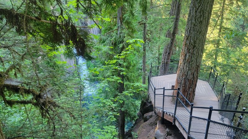 Visiting The Viewing Platform Safely
