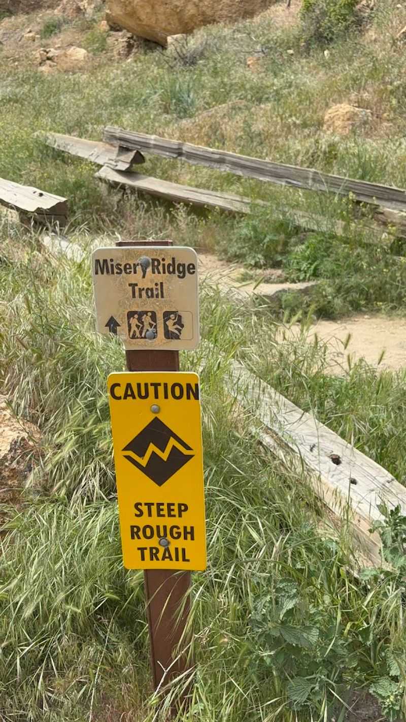 Parking, Permits, and Practical Know-How