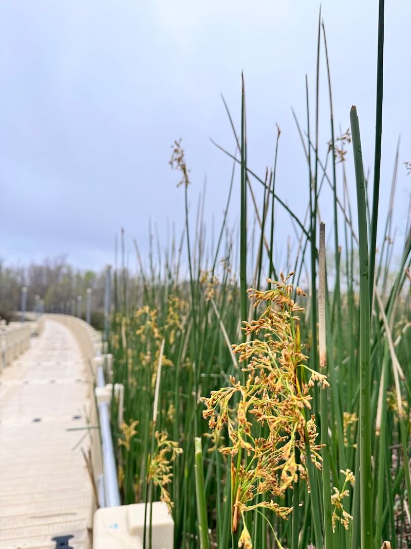 A Trail That Works for Every Fitness Level