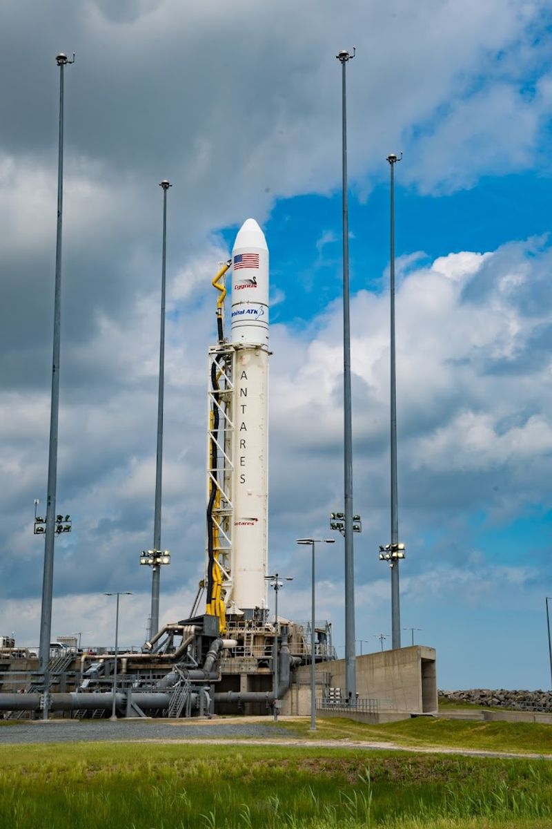 Rocket Launch Viewing: The Ultimate Backyard Spectacle