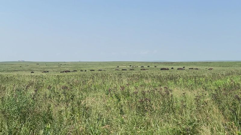 Hiking Trails Through the Grassland