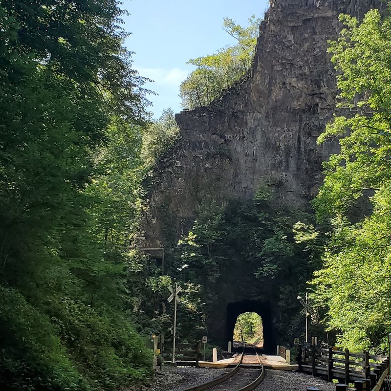 The Active Railroad: Where Nature Meets Industrial History