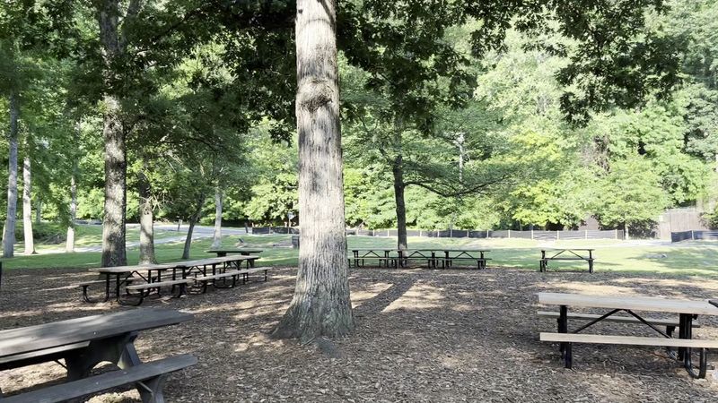 Picnicking by the Potomac: The Art of Doing Absolutely Nothing Beautifully
