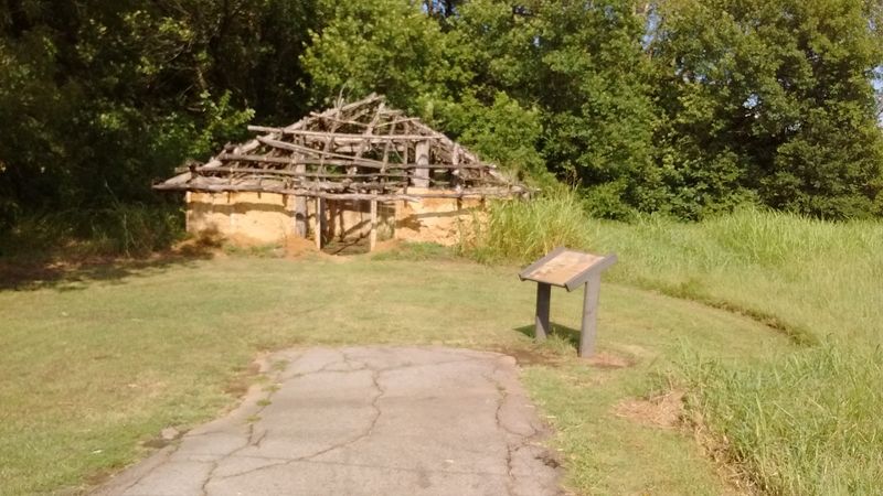 The Trail System and What You Can Expect on the Walk