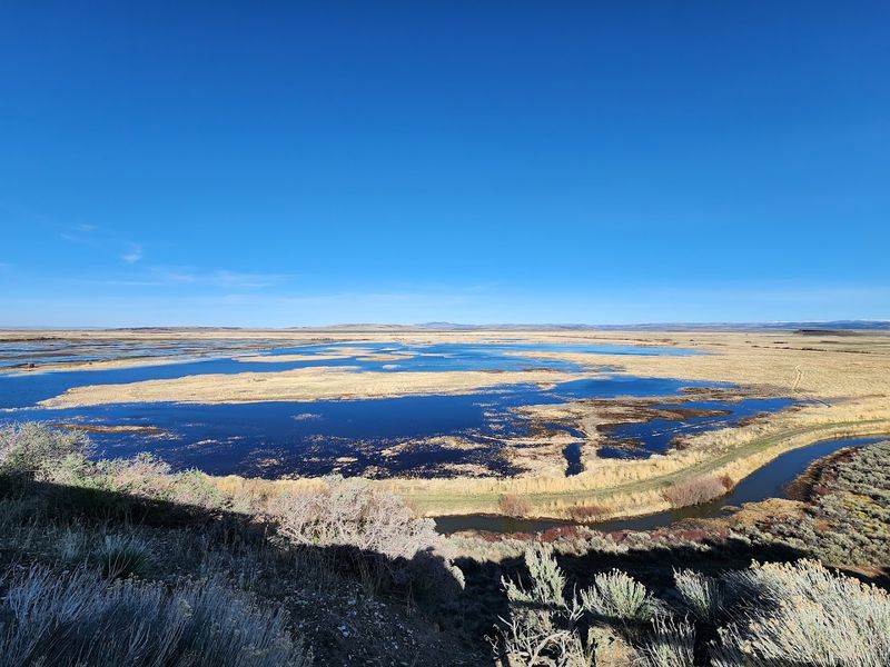 The 42-Mile Auto Tour Route Through the Refuge