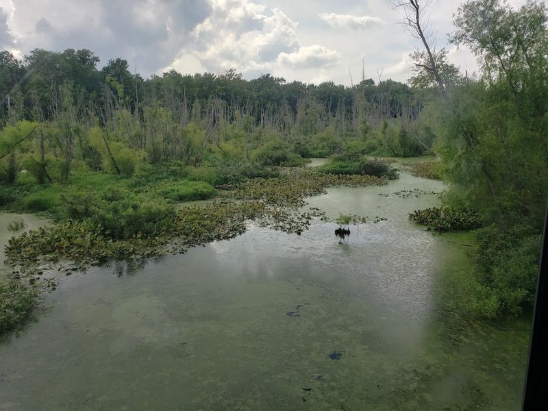 The Fall Foliage Route That Shows Southern Indiana at Its Most Beautiful