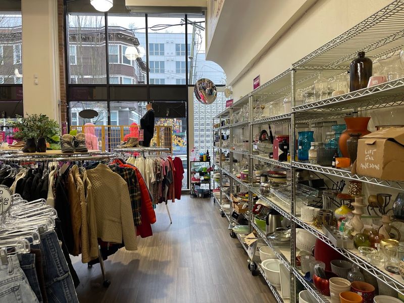 The Price Tags Are Good, But The Style Pulls You In First