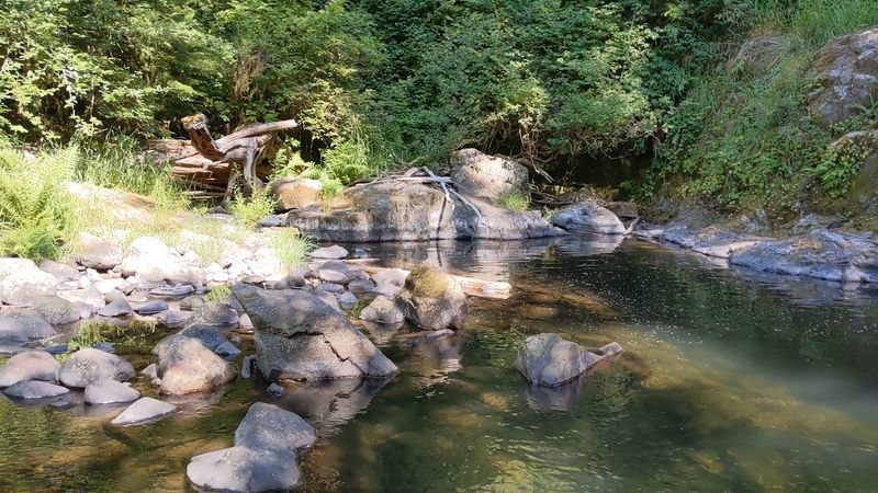 Swimming Holes and Creek Access: The Real Secret