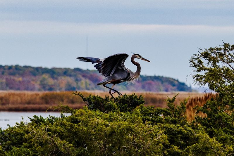 Visiting Tips, Best Seasons, and What to Bring