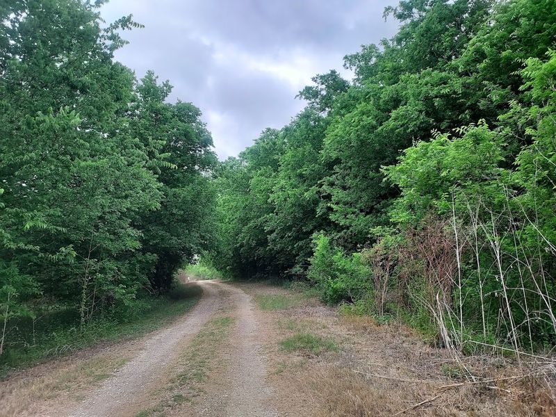 Upland Trails Offer a Completely Different Experience