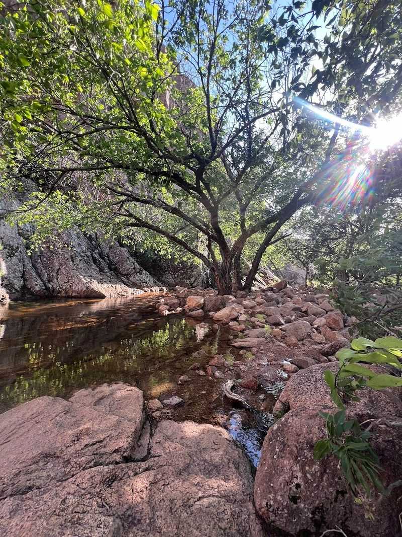 Creek Crossings That Add Real Adventure to the Route