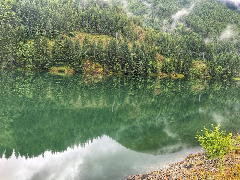 The Toxic Algae Problem Raising Real Alarms