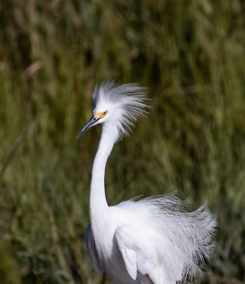 Over 360 Bird Species Recorded Right Here in New Jersey