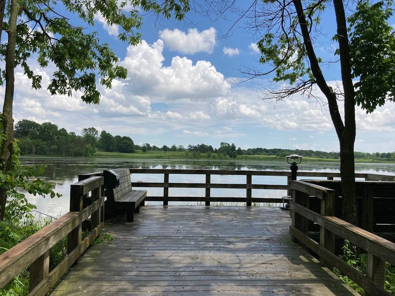 Birding Opportunities That Rival Dedicated Sanctuaries