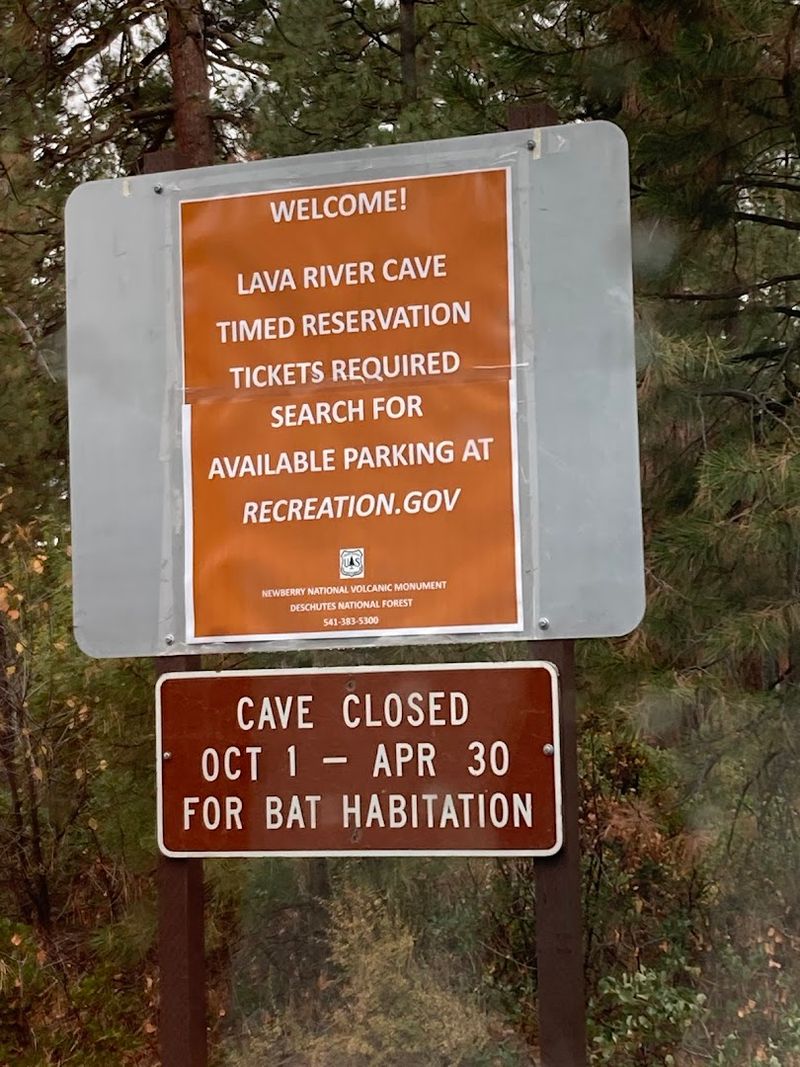 Important Rules You Need to Know Before Visiting