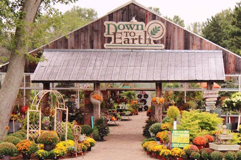 First Impressions Feel Like A Greenhouse Day Trip, Not An Errand