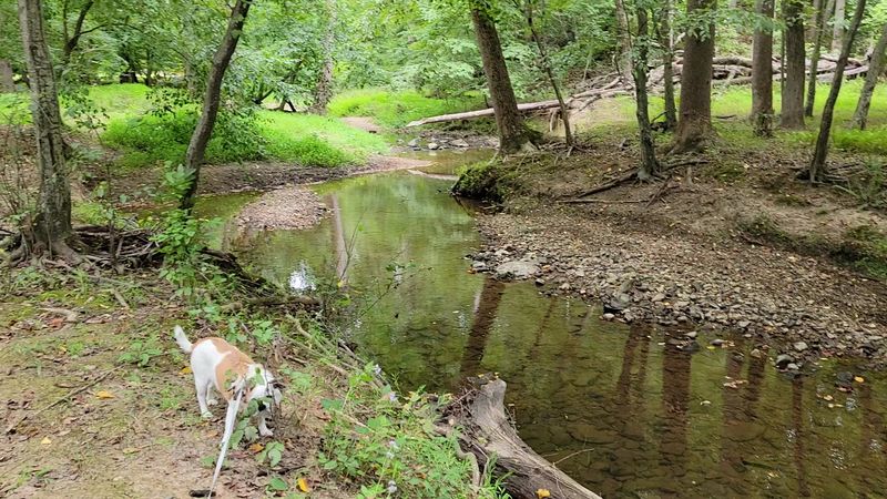 Wolf Trap TRACK Trail: Where Kids Become Explorers