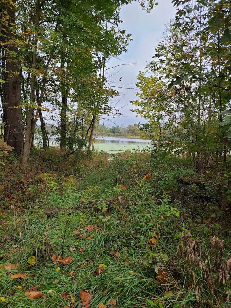 What Northern Indiana Looked Like 200 Years Ago