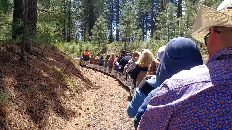 Riding the Rails on a 1/8 Scale Train