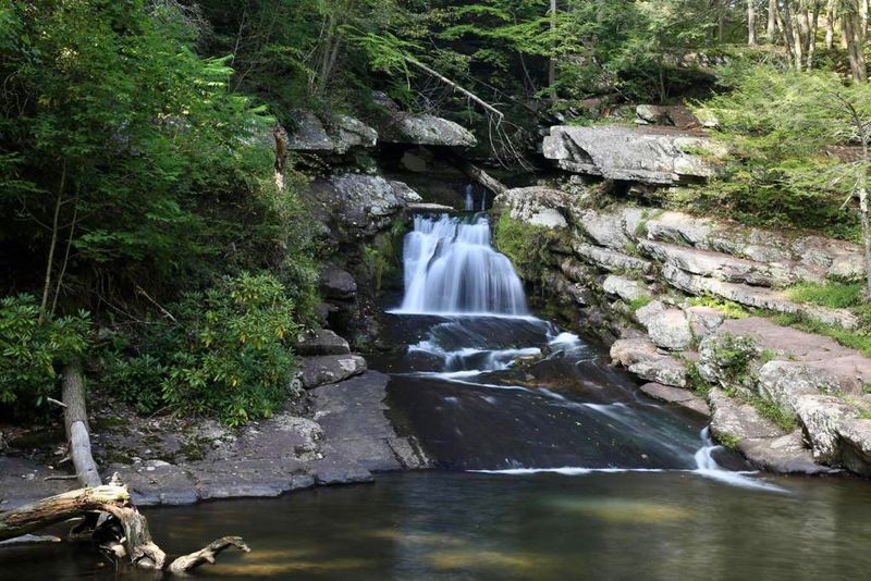 Rhododendron Falls: The First Waterfall That Stops You Cold