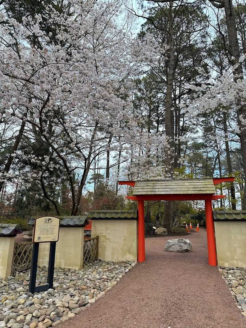 Traditional Tatami-Style Walls That Prove Every Detail Was Considered