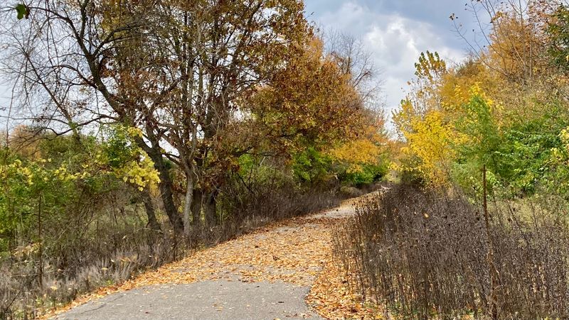 Sand Prairies That Feel Like Another World