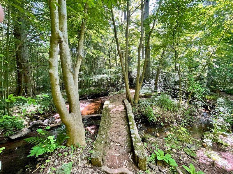 A 131-Acre Property That Feels Bigger Than It Has Any Right To Be