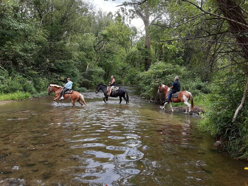 150 Acres of Untouched Indiana Forest Worth Exploring on Horseback