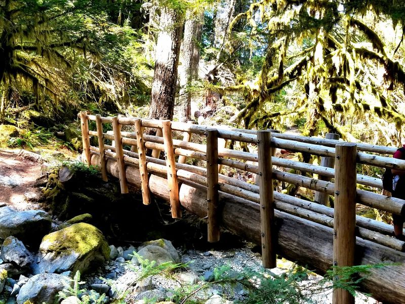 The Trailhead at Opal Creek Wilderness