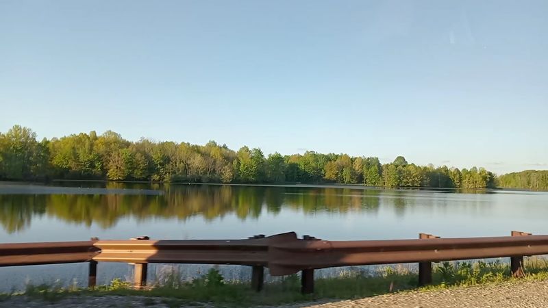 The 4-Mile Auto Loop Puts Wildlife Right Outside Your Window