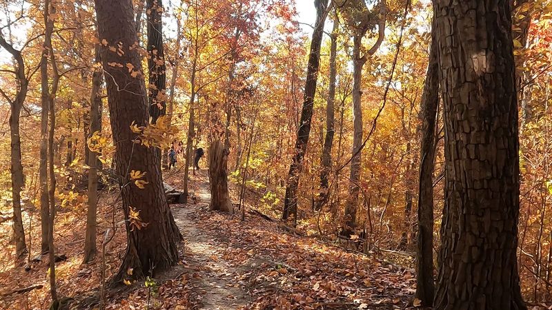 Unmatched Scenic Beauty Along the Knobstone Escarpment