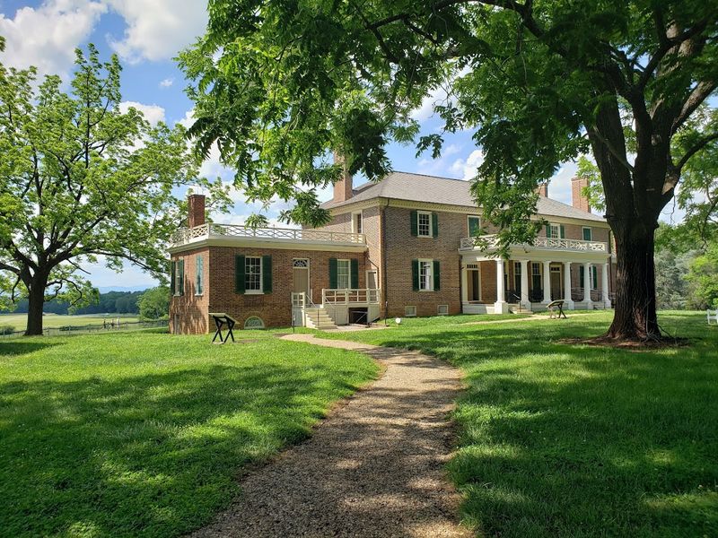 Stepping Into A Forest That Predates The Nation