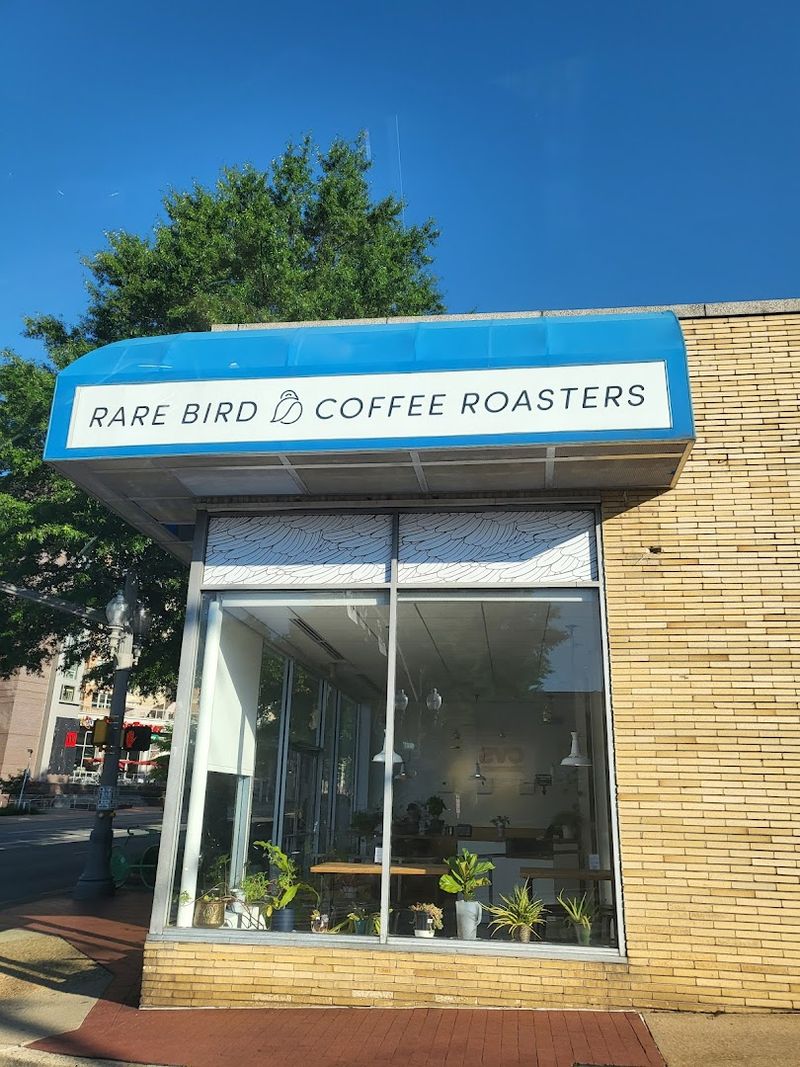 A First Impression That Stops You Mid-Stride