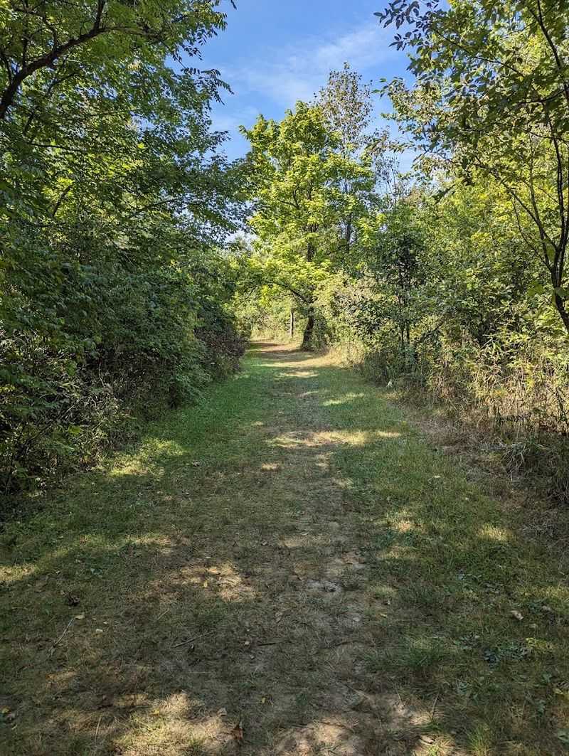 A Truly Beginner-Friendly Trail System Under 2 Miles