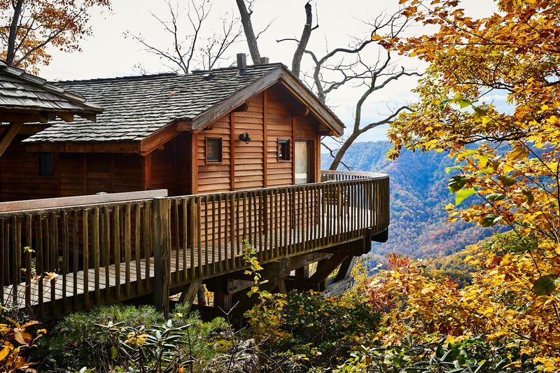 The Luxury Treehouses Perched Above the Dan River Valley