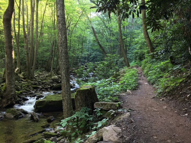 The Trail That Sets the Scene Before You Even Begin