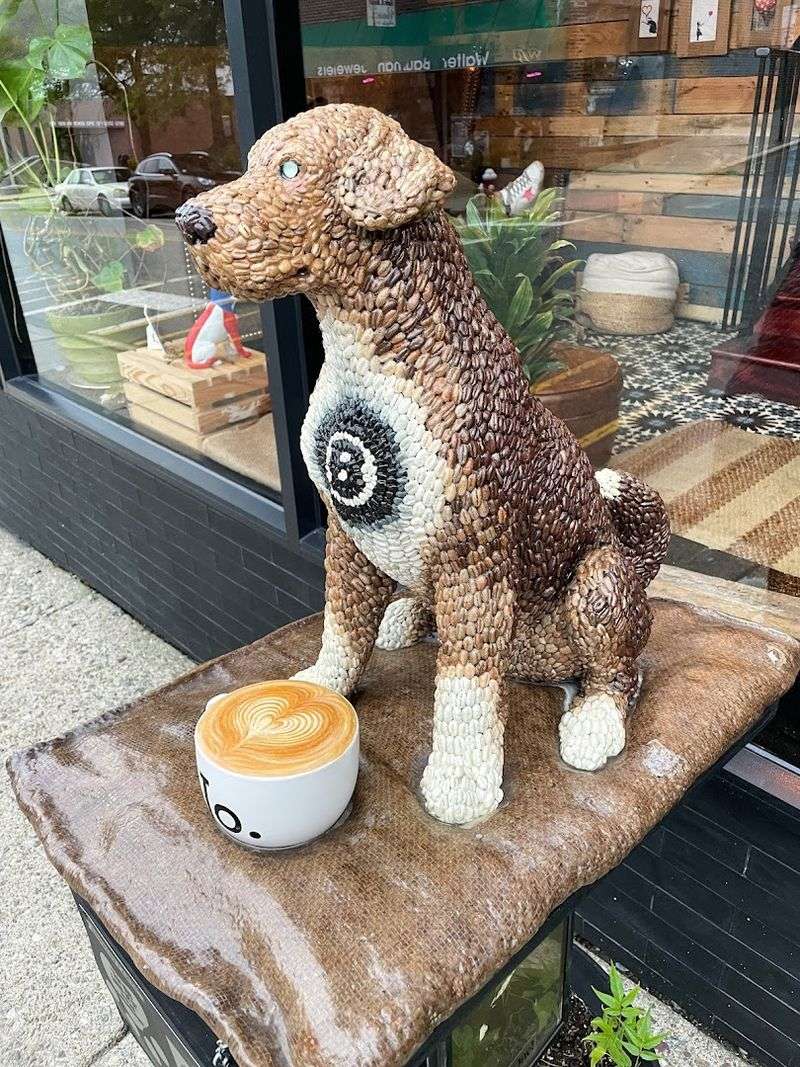 A Dog-Friendly Policy That Actually Means It